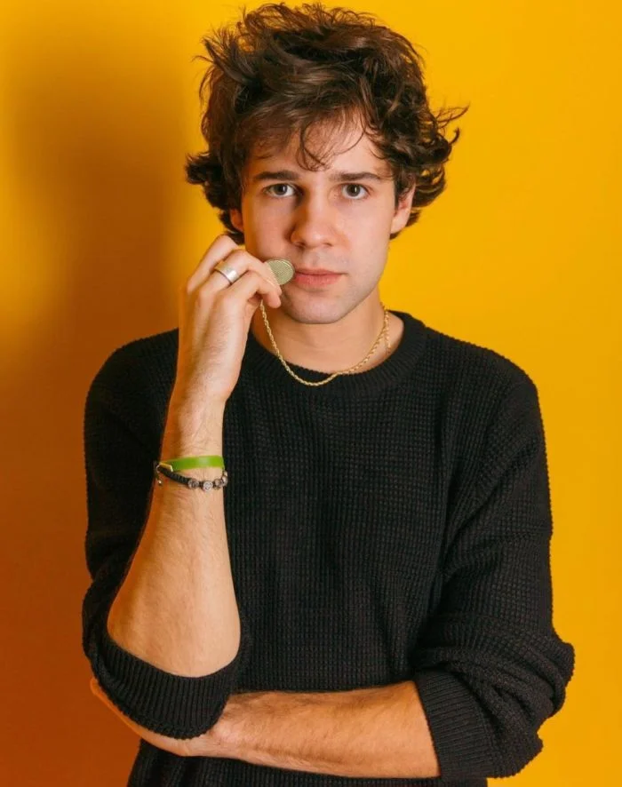 David Dobrik's Age, Height, Weight